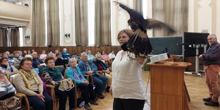 S�lyom, h�ja �s t�ltos dob a Nyugd�jas Egyetem el�ad�s�n