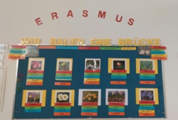 Hospit�l�s a b�csi Volksschule Johann-Hoffmann-Platz int�zm�ny�ben - Bounce Back program (pedag�gusoknak)