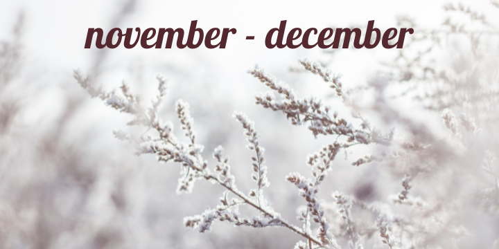 2025. november s december 